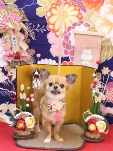 20240121れおくん